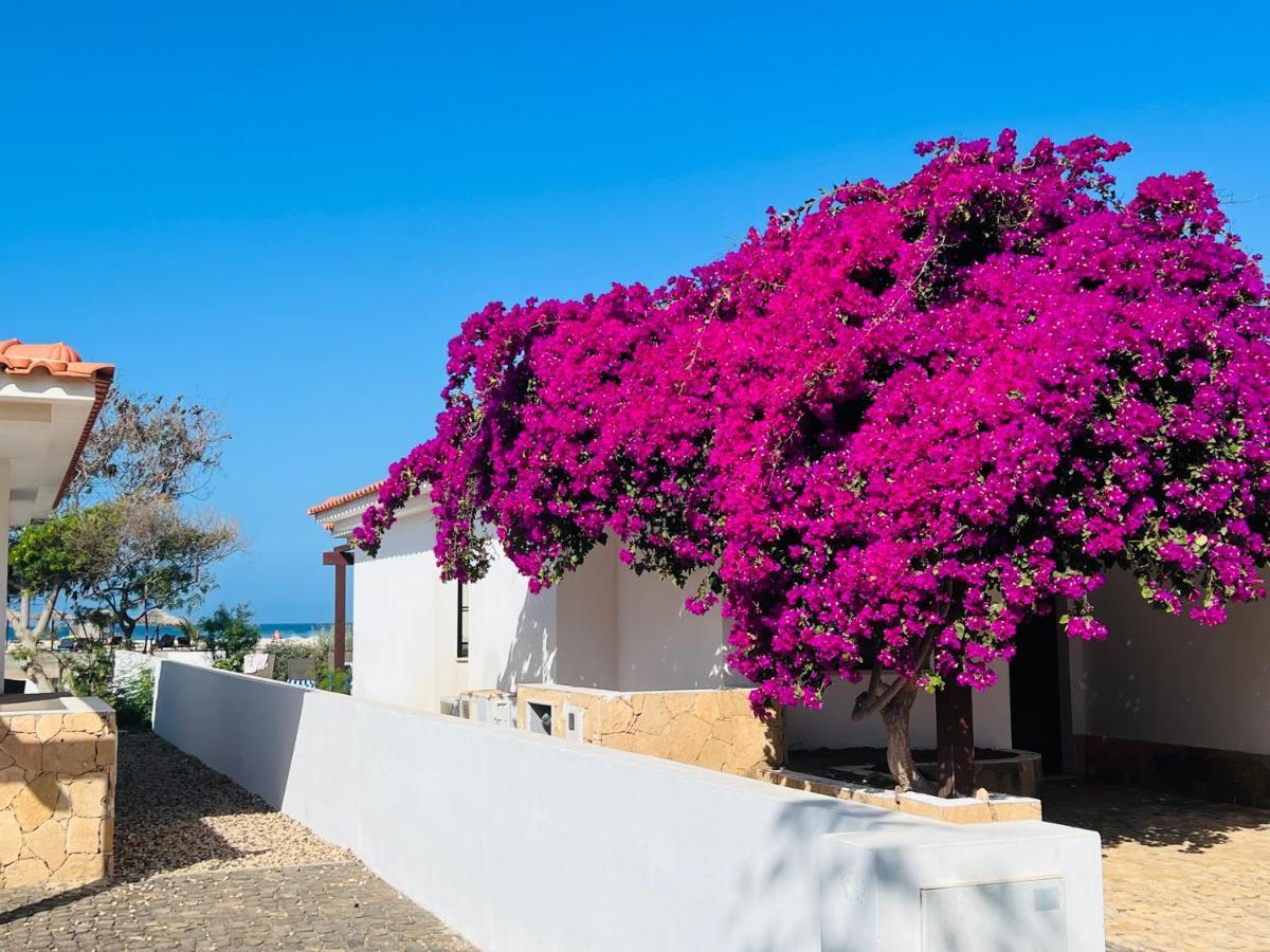 Villa With Privat Pool Near Beach Santa Maria Sal Kap Verde Ngoại thất bức ảnh