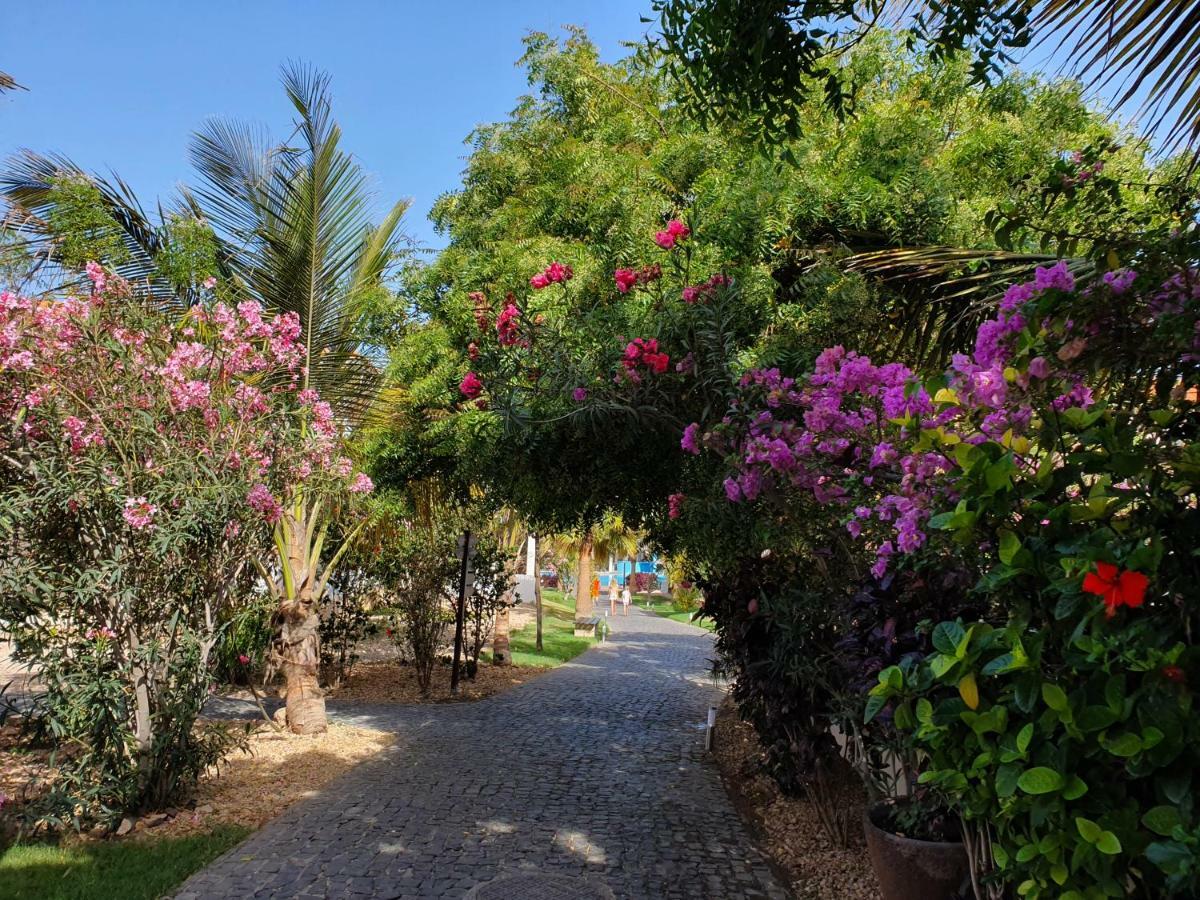 Villa With Privat Pool Near Beach Santa Maria Sal Kap Verde Ngoại thất bức ảnh